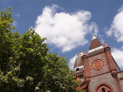 Picture 30